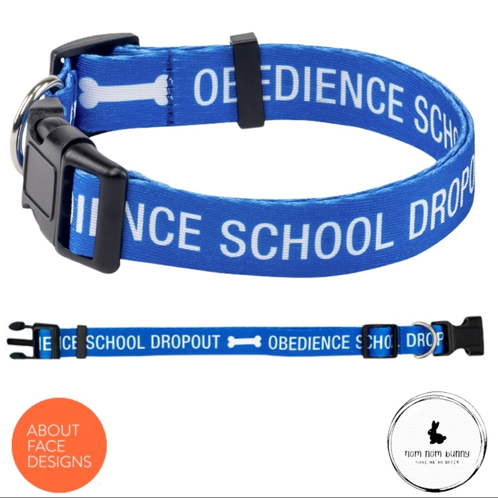 Obedience School Dropout L/XL Dog Collar